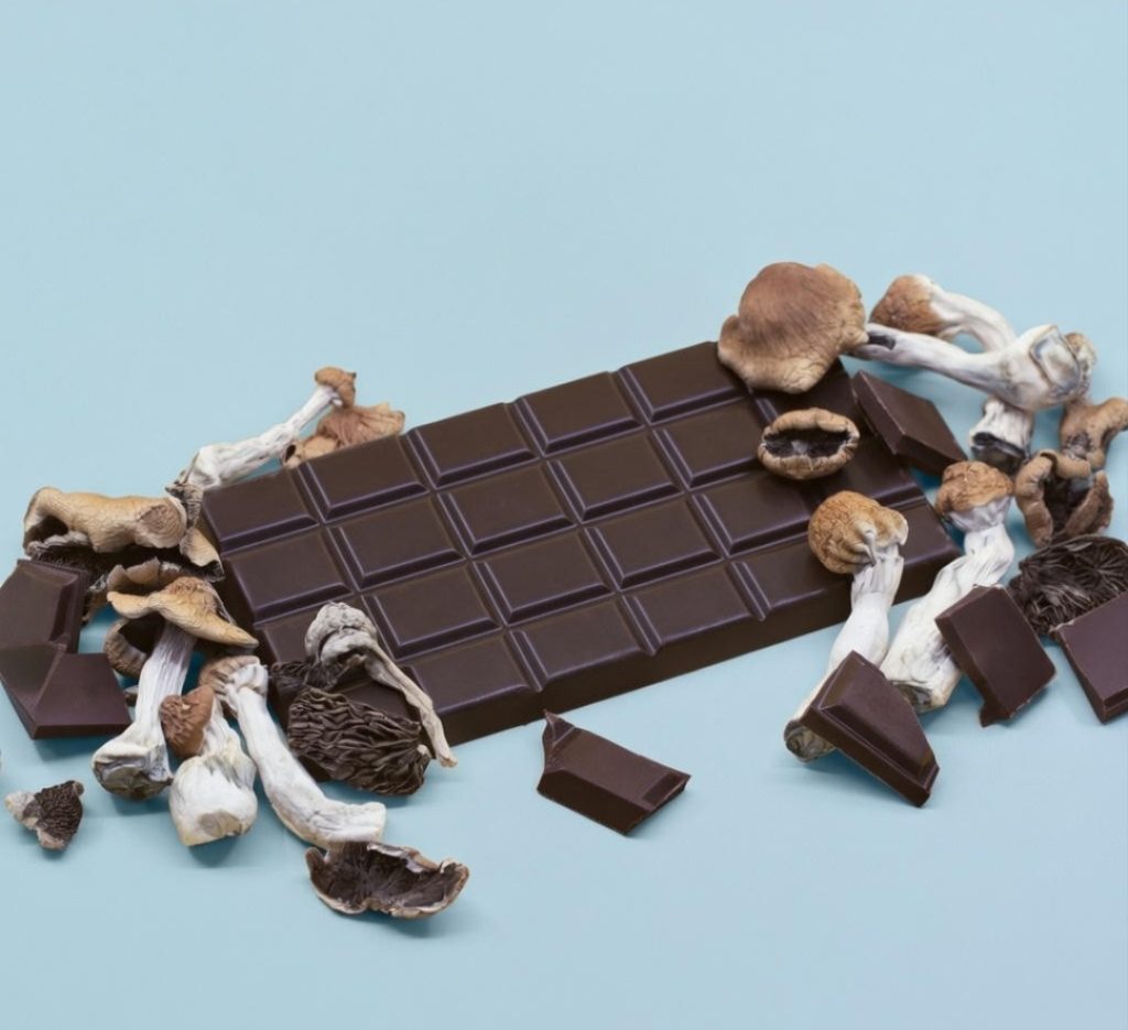 Magic mushroom chocolate bar with segmented dark chocolate and dried mushrooms