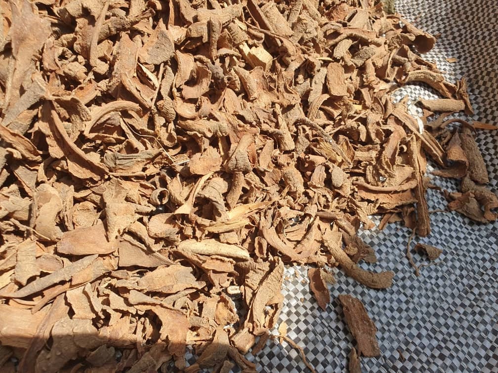 High-alkaloid Iboga Root Bark for clinical addiction recovery protocols