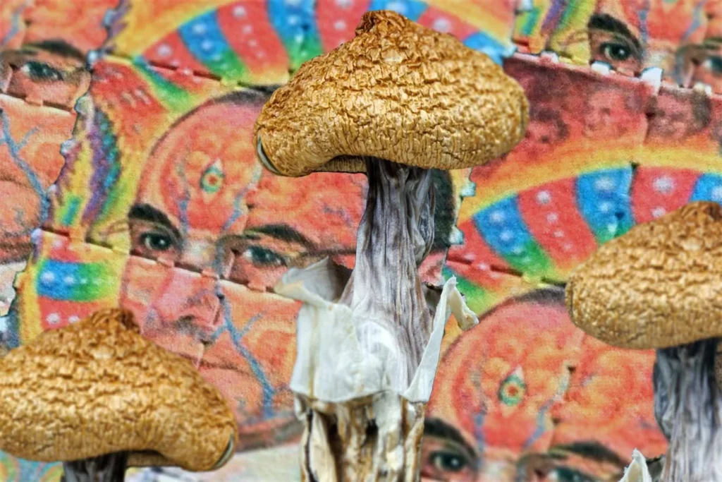 Which is safer LSD or psilocybin for first-time users - psilocybin mushroom placed over colorful LSD blotter art