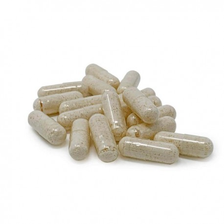 Mescaline Capsule buyer guide product image